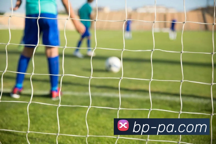 PA真人官网发展历程